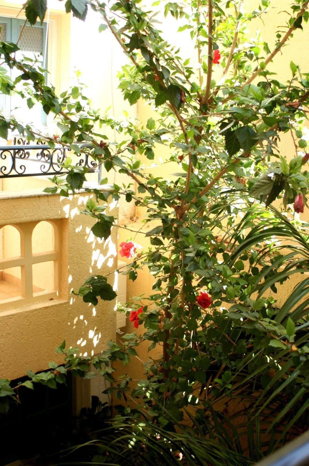 Orion Apartments Malia Exterior foto